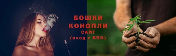 сатива Баксан