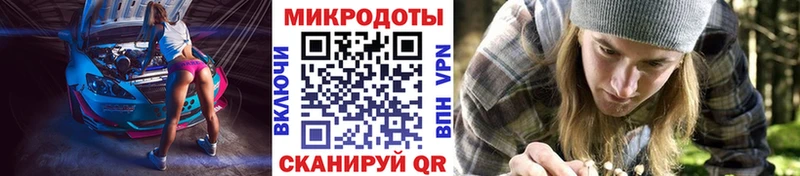 Галлюциногенные грибы Psilocybe  Старица 